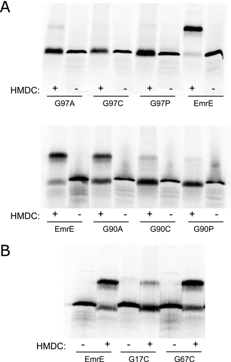 FIGURE 4.