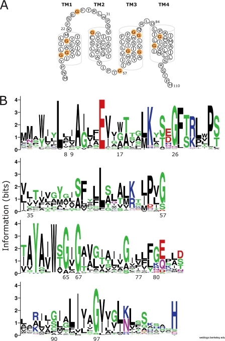 FIGURE 1.