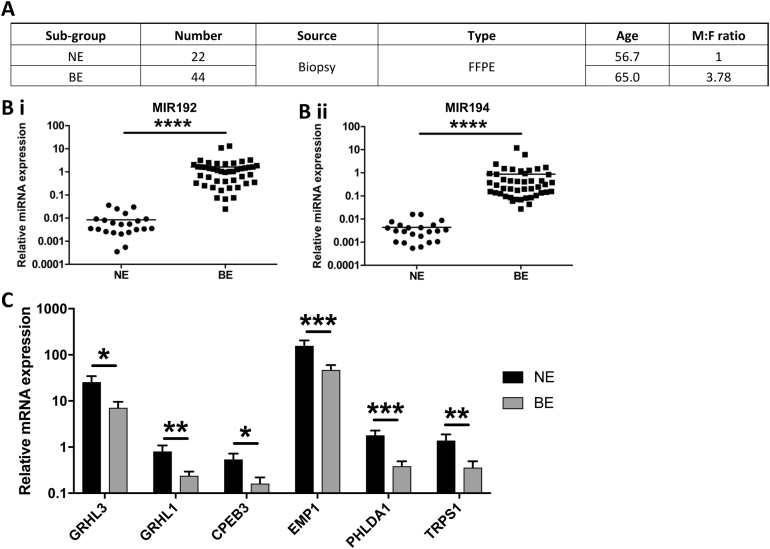 Supplementary Figure 3