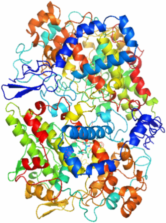 graphic file with name 13020_2020_392_Figb_HTML.gif