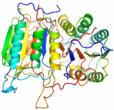graphic file with name 13020_2020_392_Figd_HTML.gif