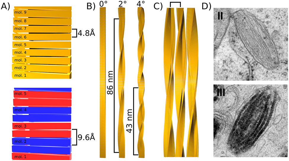 Figure 2: