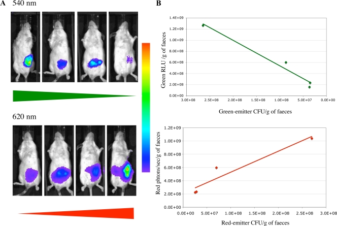 FIG. 7.