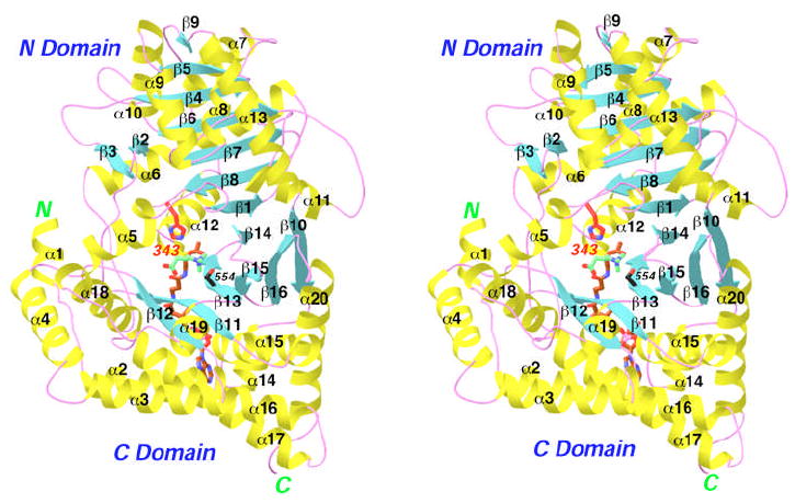 Fig. 1