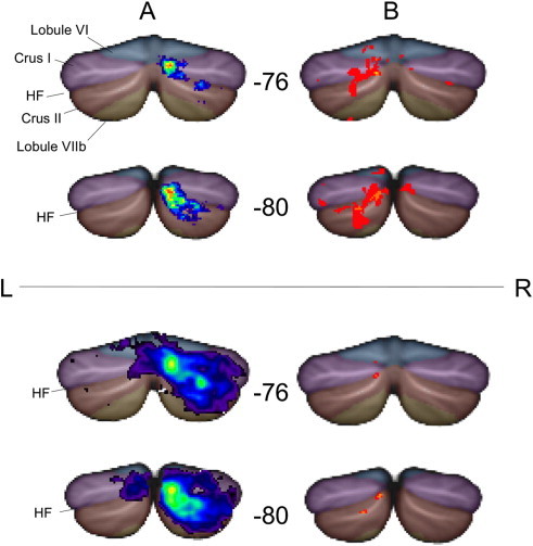 Fig. 6