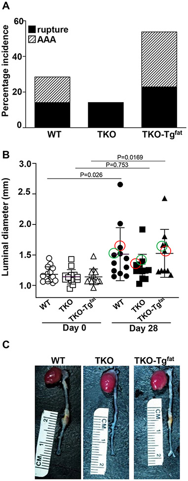 Figure 4.