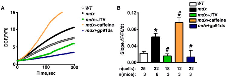 Fig 6