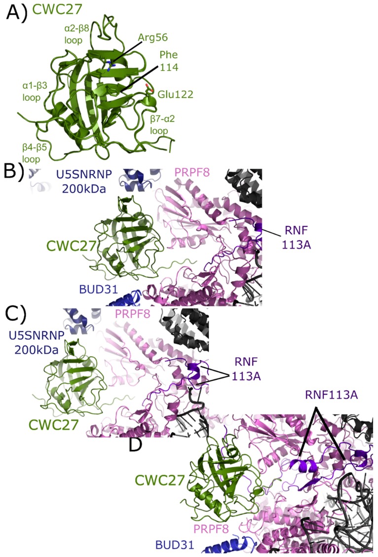 Figure 9