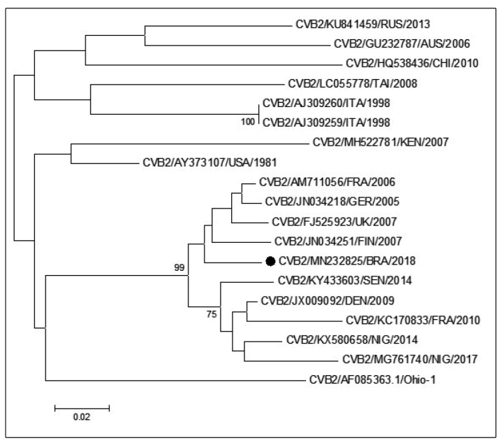 FIGURE 1: