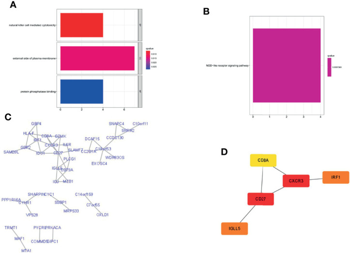 Figure 10