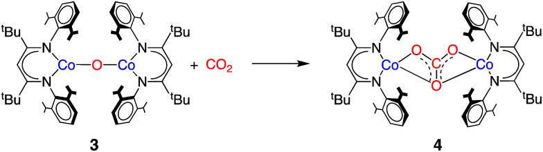 Scheme 3