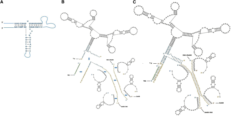 Figure 3