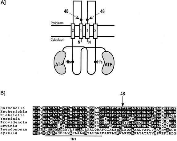 FIG. 1.