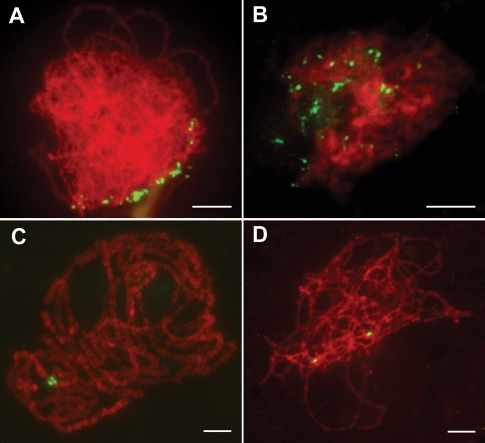 FIGURE 2: