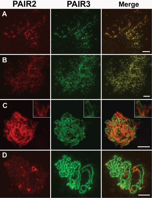 FIGURE 6: