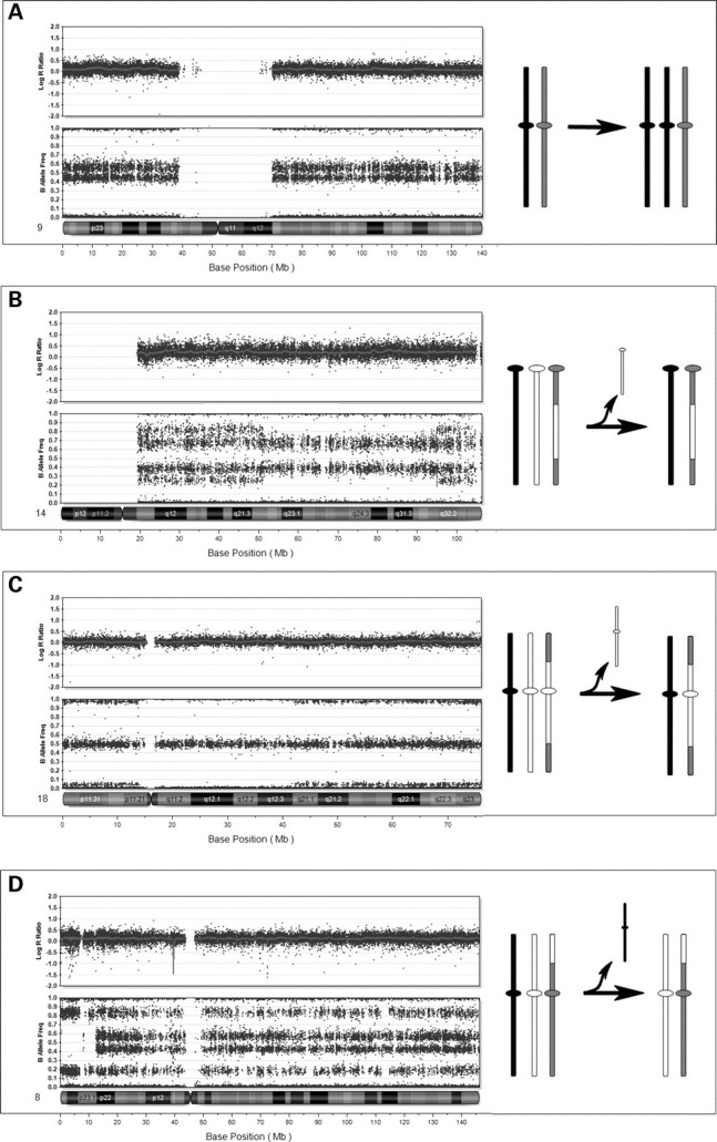 Figure 3.