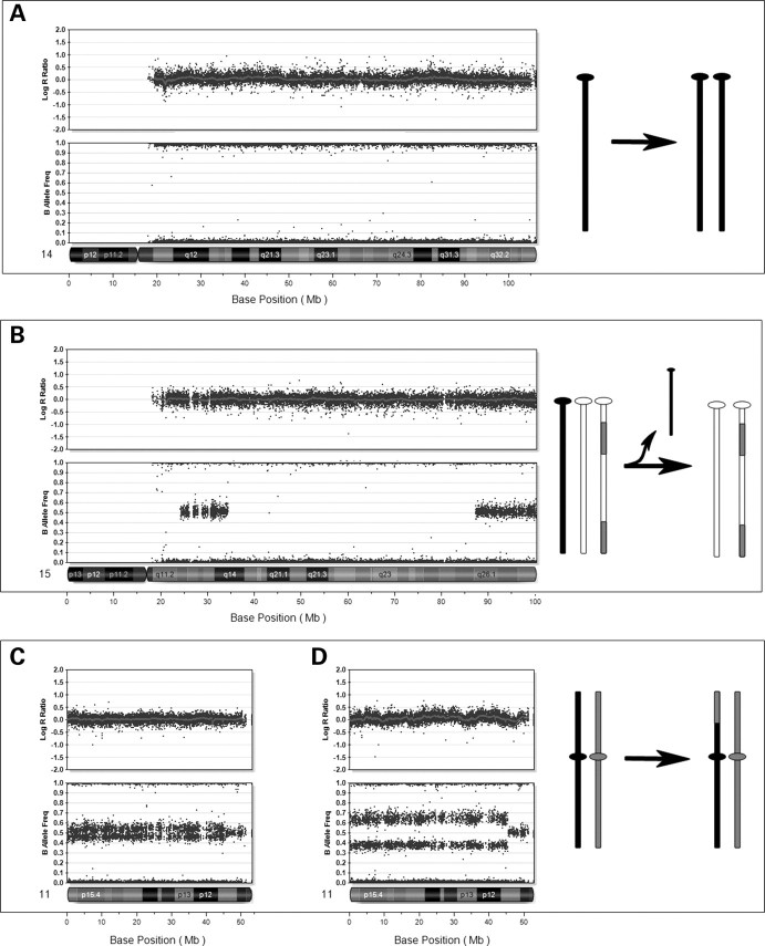 Figure 4.