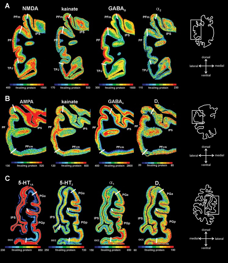 Figure 6.