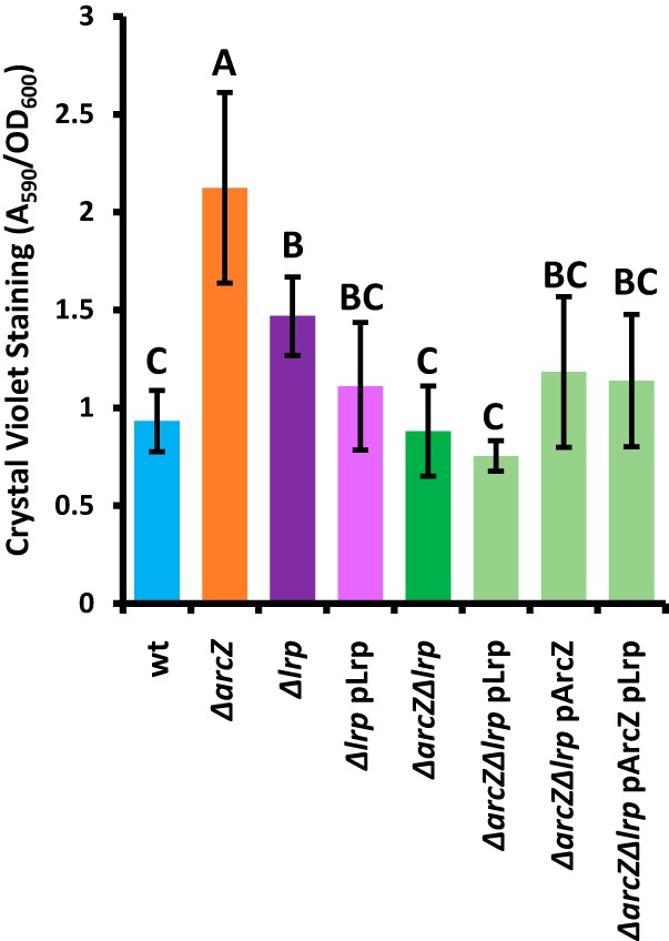 FIG 7