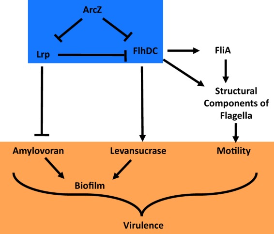 FIG 10