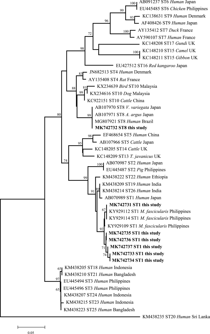 Fig. 1