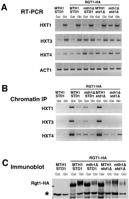 Figure 4.