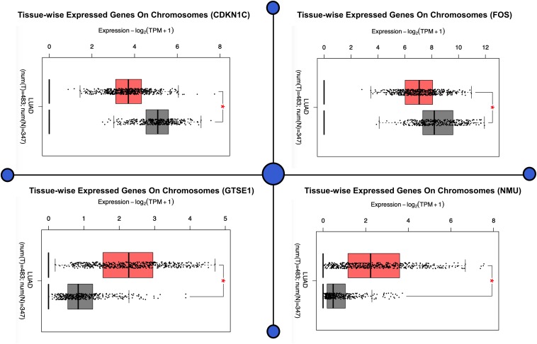 FIGURE 1