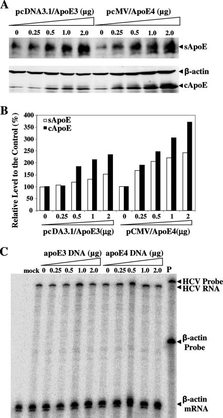 FIG. 8.