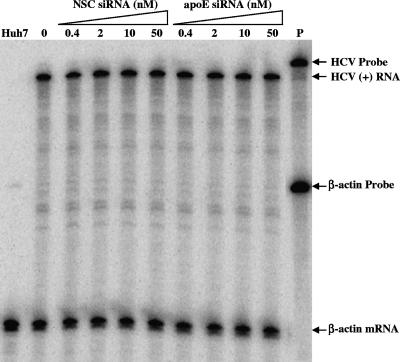 FIG. 9.