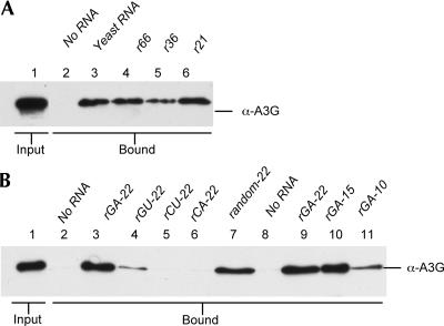 FIGURE 4.