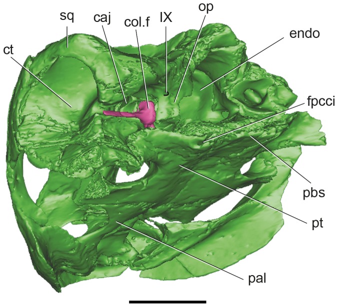 Figure 5