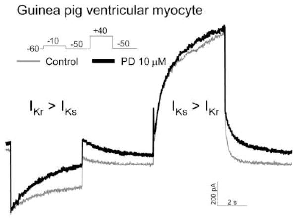 Fig. 10