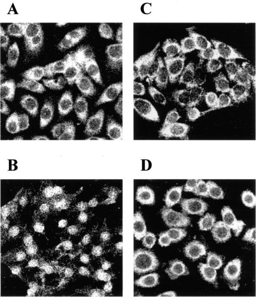 FIG. 8.