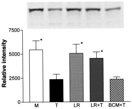 FIG. 9.