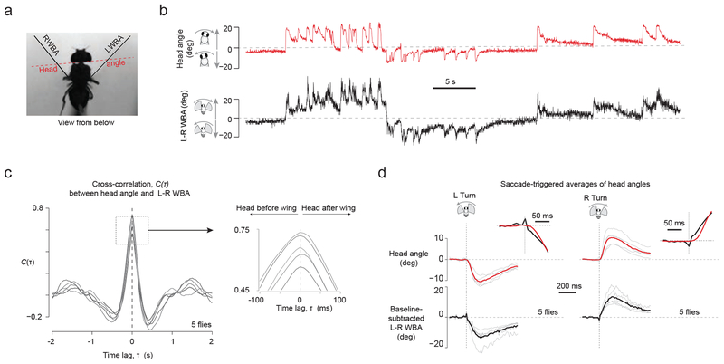 Figure 7.