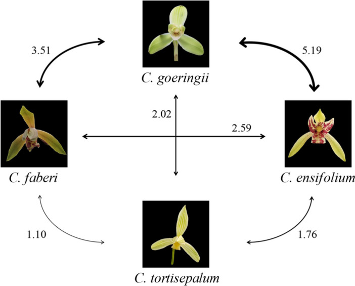 Fig. 4