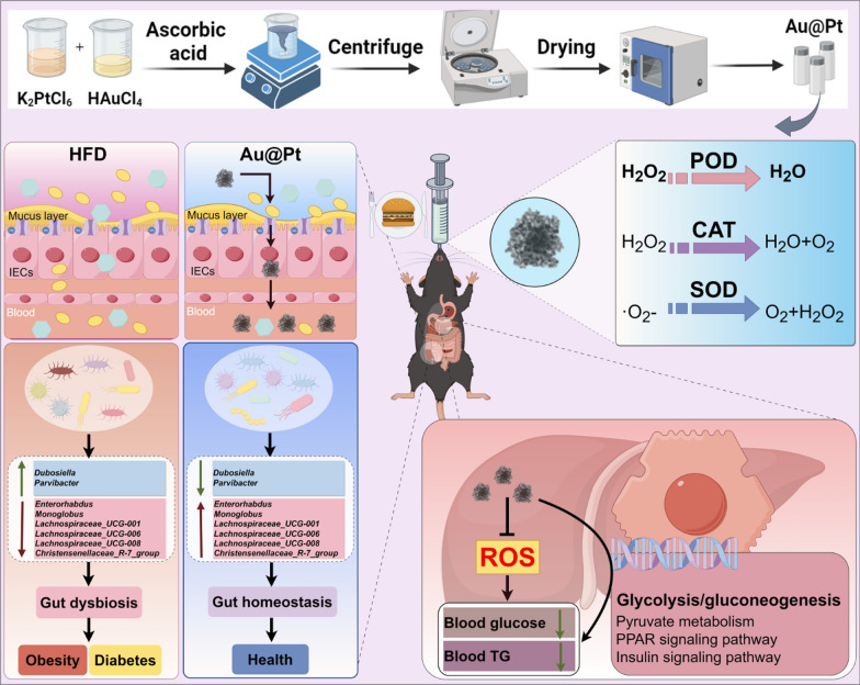 graphic file with name 12951_2024_2807_Figa_HTML.jpg
