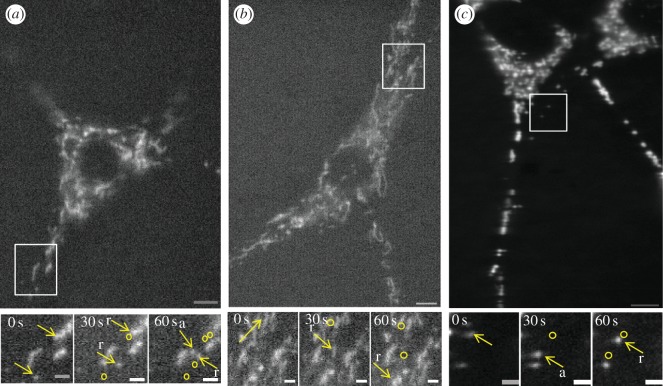 Figure 2.