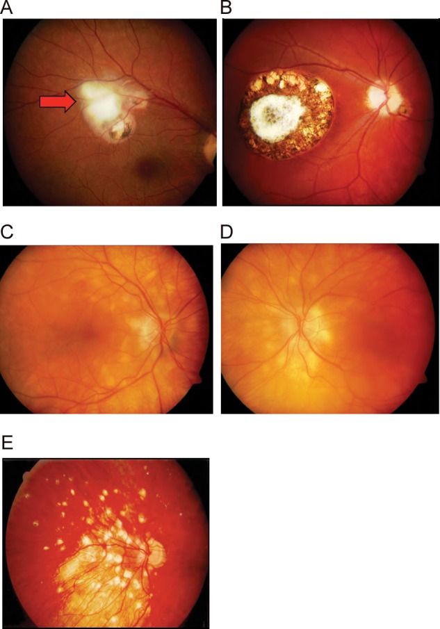 Figure 1.