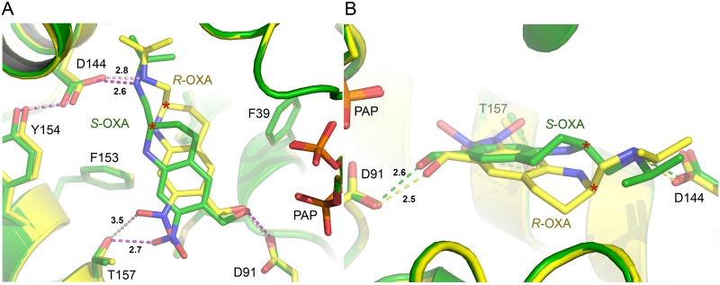 Fig 5