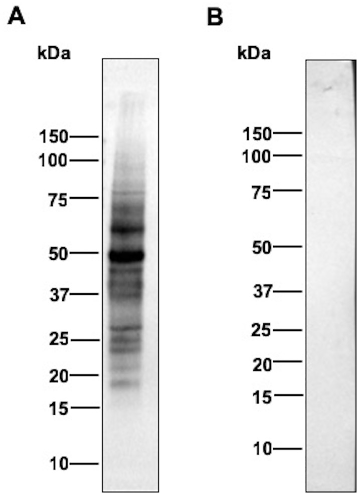 Fig 9