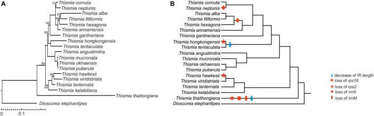 FIGURE 3