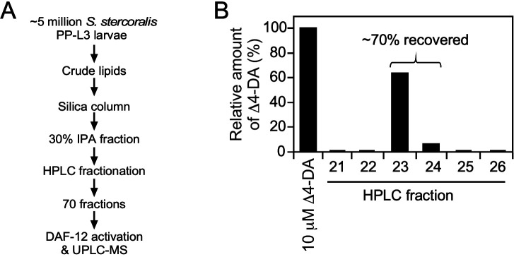 Figure 2—figure supplement 1.