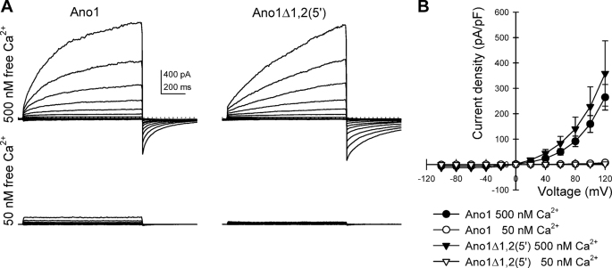 FIGURE 5.