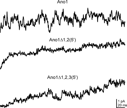 FIGURE 9.