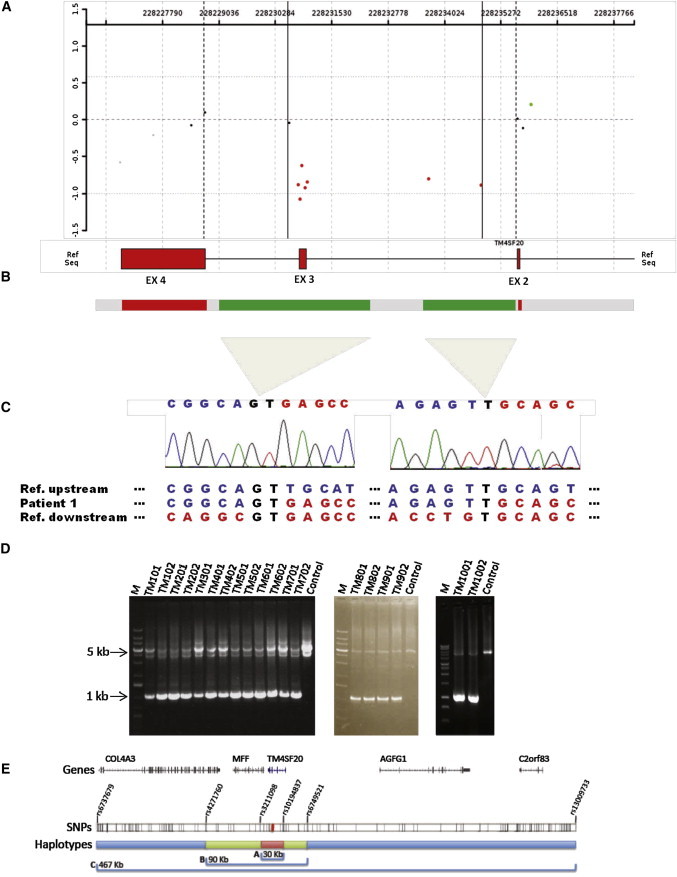 Figure 2