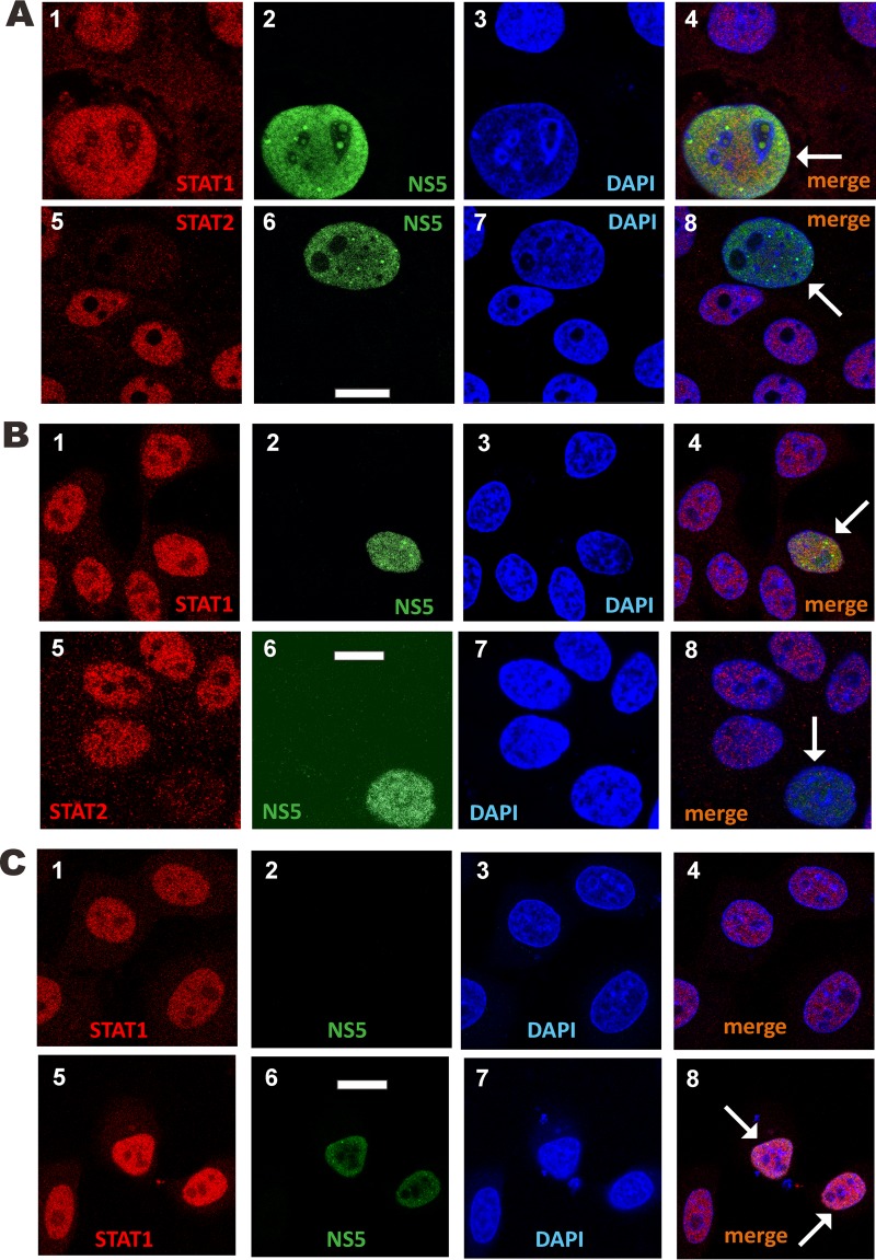 FIG 6