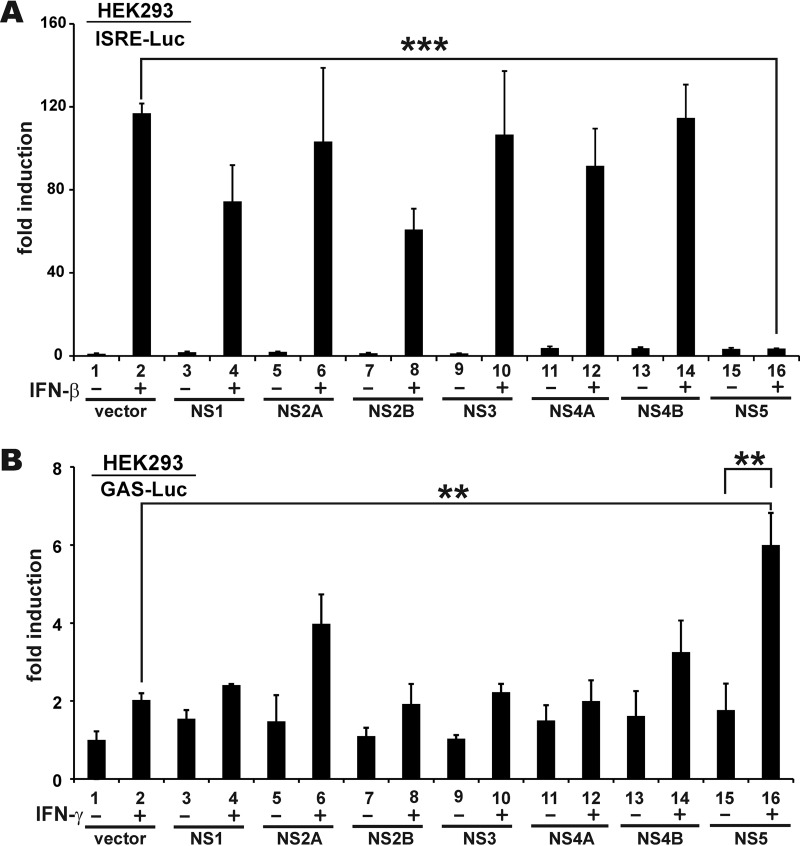 FIG 3