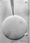 358-1