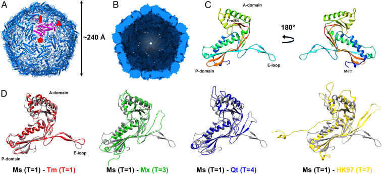 Fig. 2.